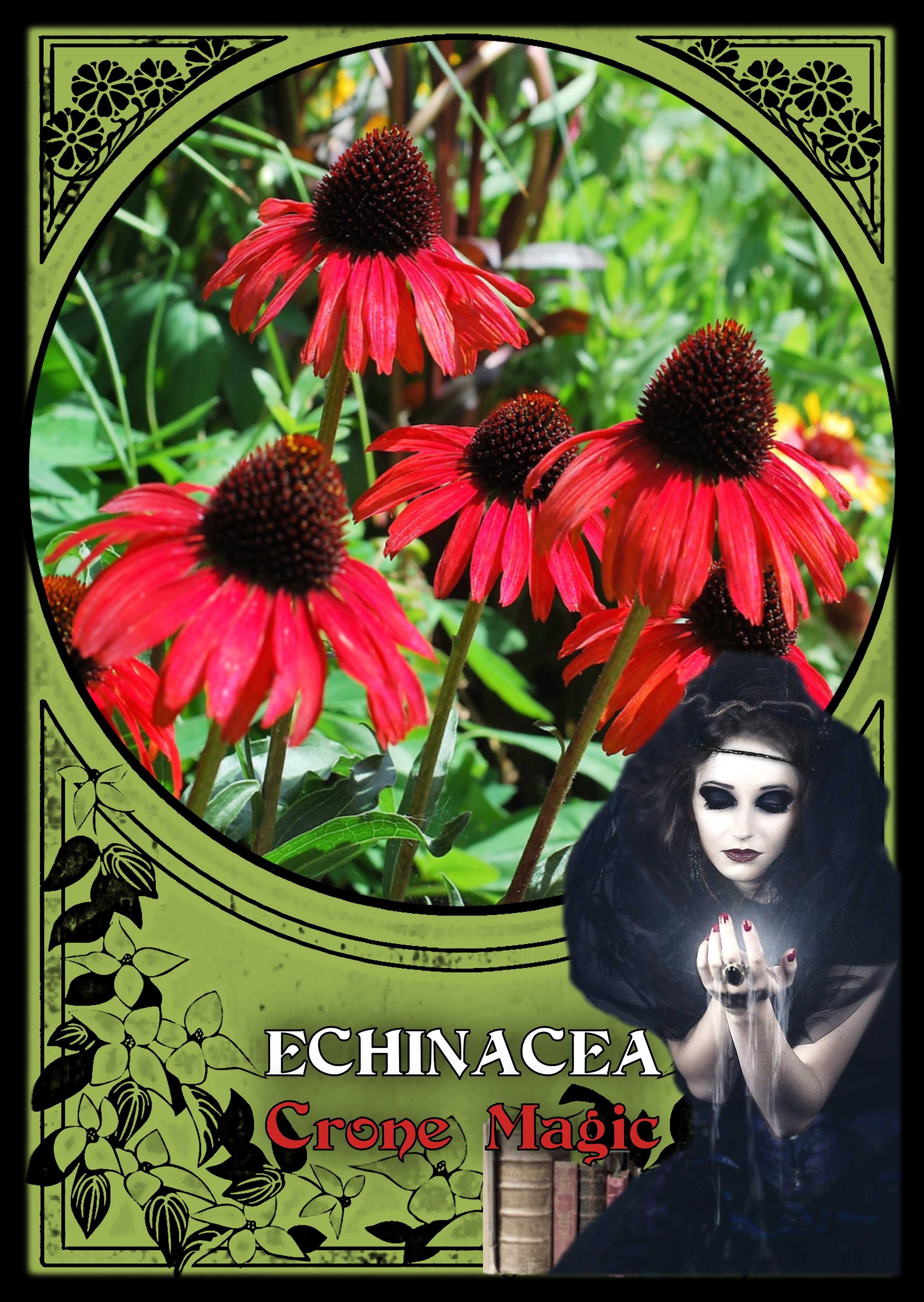 Flower Magic Oracle Cards